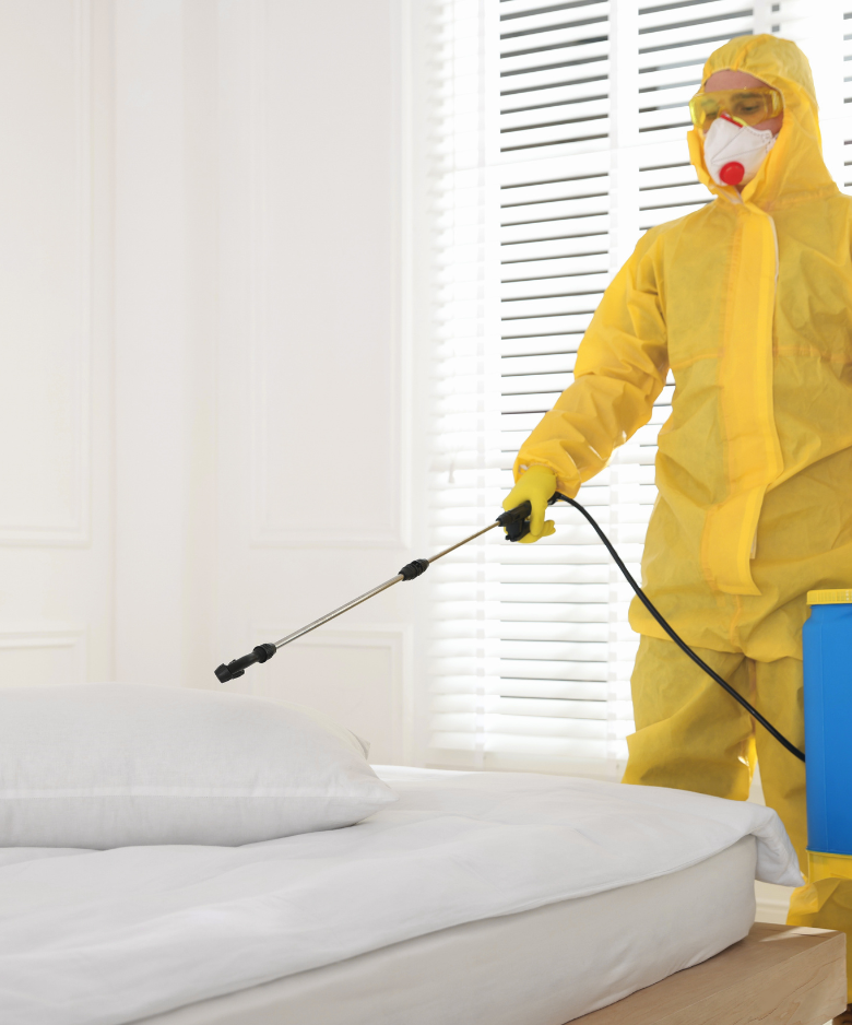 Professional Pest Control Team in Beulah Park